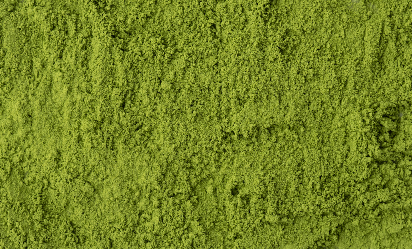 Matcha Cérémonial A++