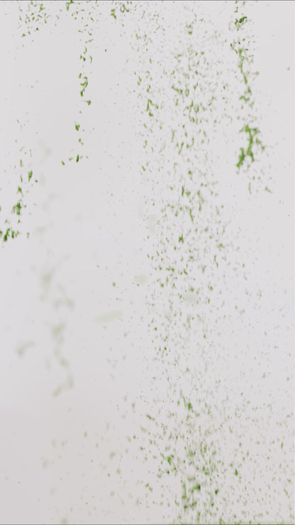 Matcha Cérémonial A++